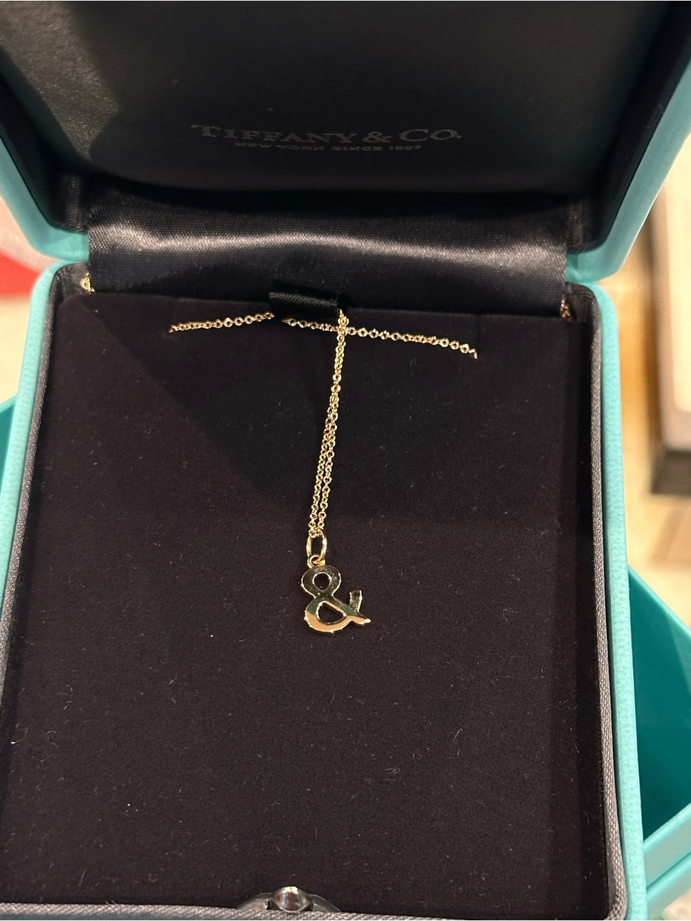 Tiffany & Co. 18K Gold Ampersand Pendant & 18" Necklace